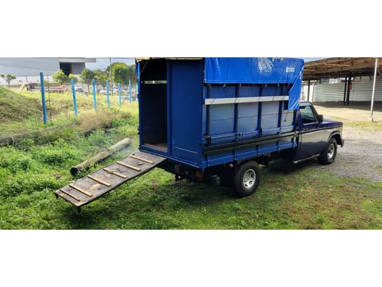 CHEVROLET - D20 - 1994/1995 - Azul - R$ 85.000,00